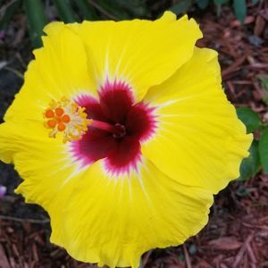 Meet your Posher, Dee